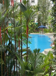 Rivervale Crest (D19), Apartment #517499921